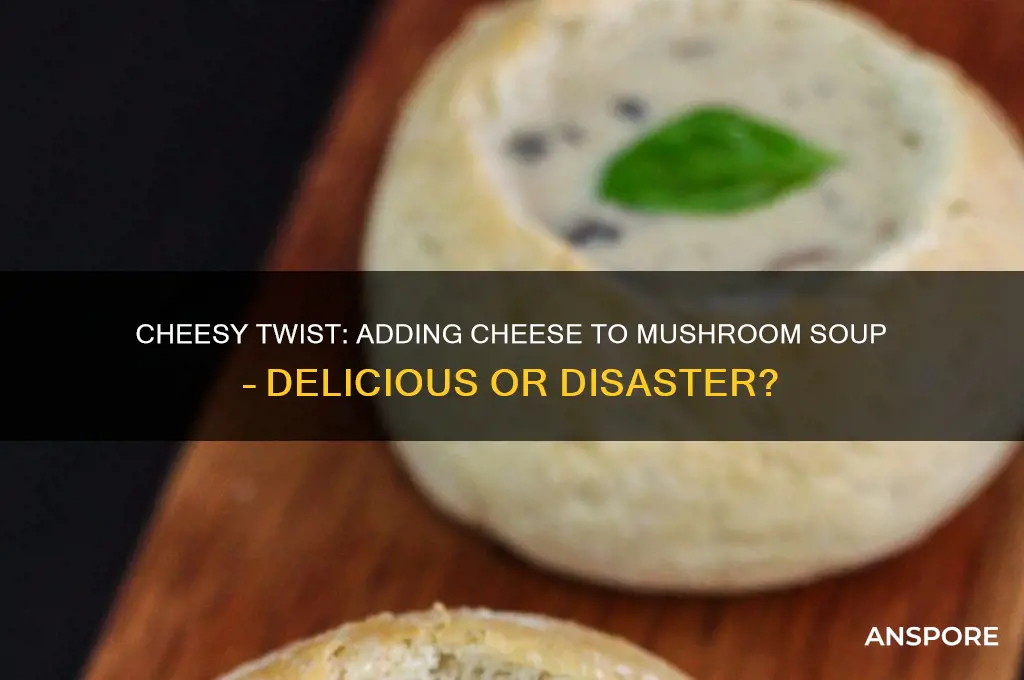 can you put cheese in mushroom soup