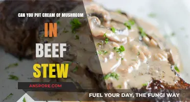 Cream of Mushroom in Beef Stew: A Flavorful Twist or Miss?