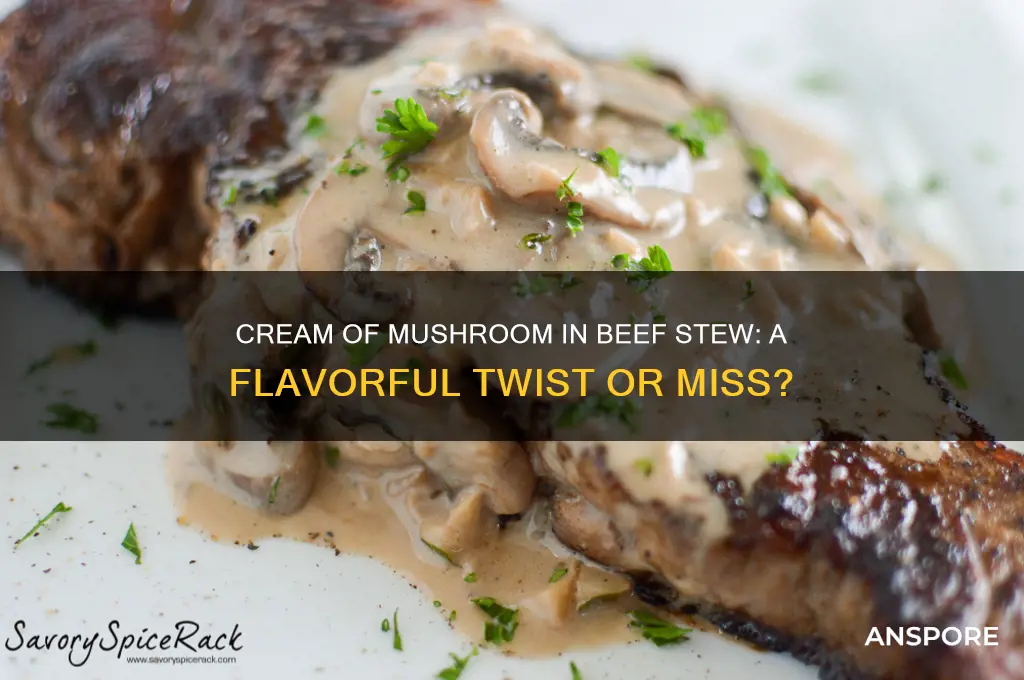 can you put cream of mushroom in beef stew