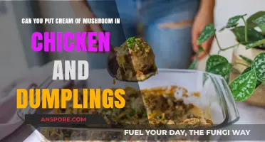 Cream of Mushroom Twist: Elevating Chicken and Dumplings Comfort Food