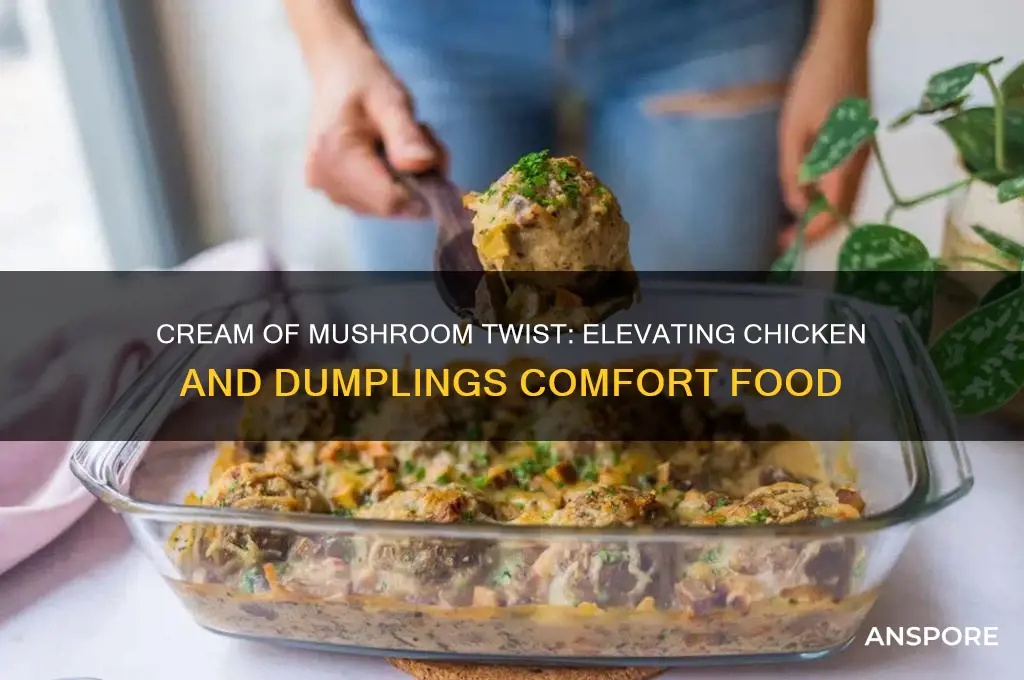 can you put cream of mushroom in chicken and dumplings