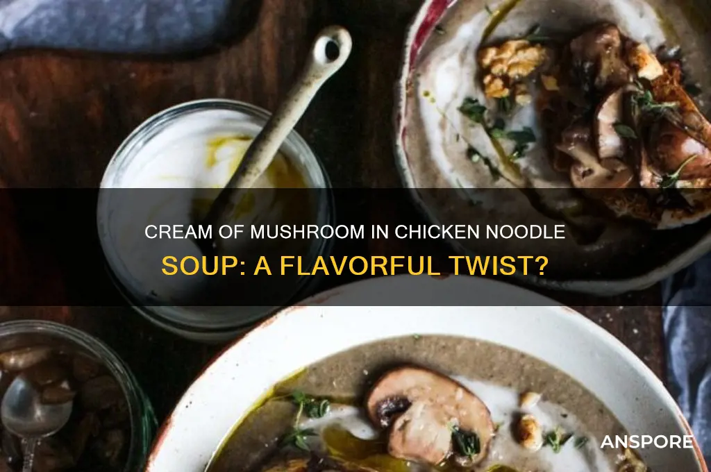 can you put cream of mushroom in chicken noodle soup