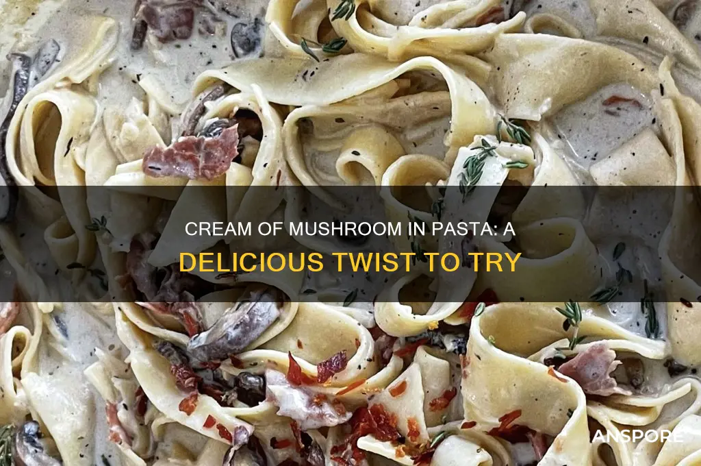 can you put cream of mushroom in pasta