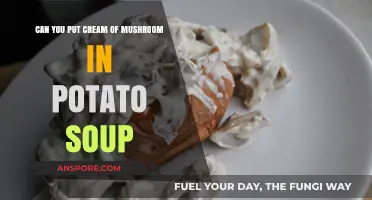Cream of Mushroom in Potato Soup: A Flavorful Twist to Try?