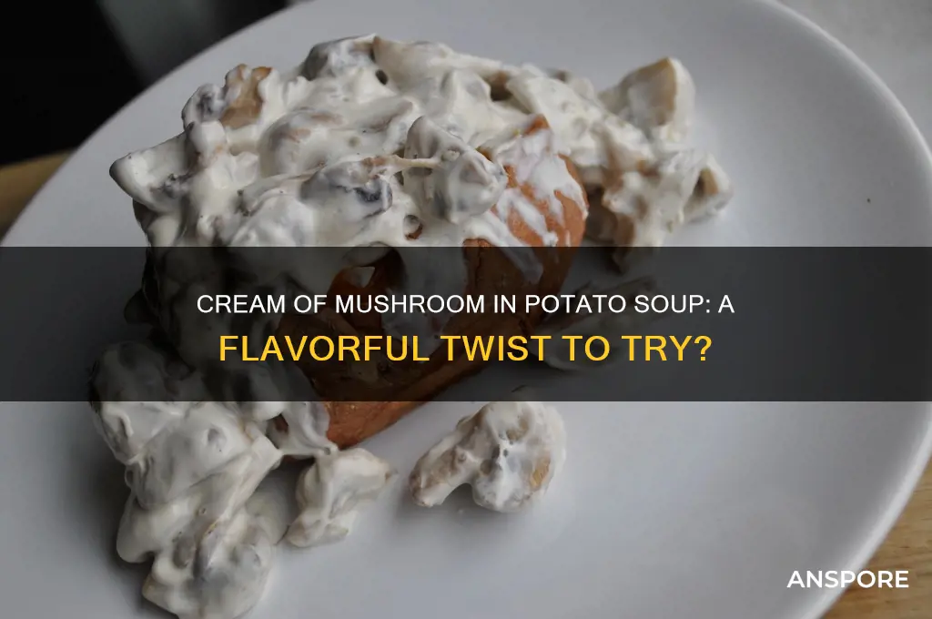 can you put cream of mushroom in potato soup