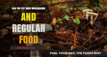 Mixing Magic Mushrooms with Everyday Meals: Safe or Risky?