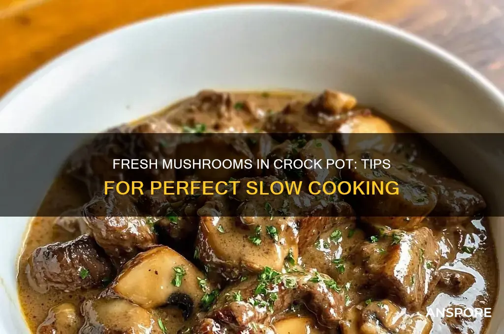 can you put fresh mushrooms in crock pot