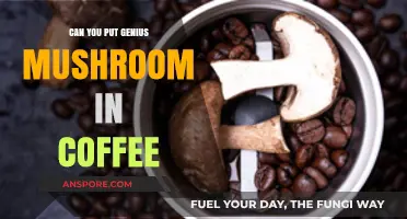 Boost Your Brew: Adding Genius Mushroom to Coffee – Benefits Explained