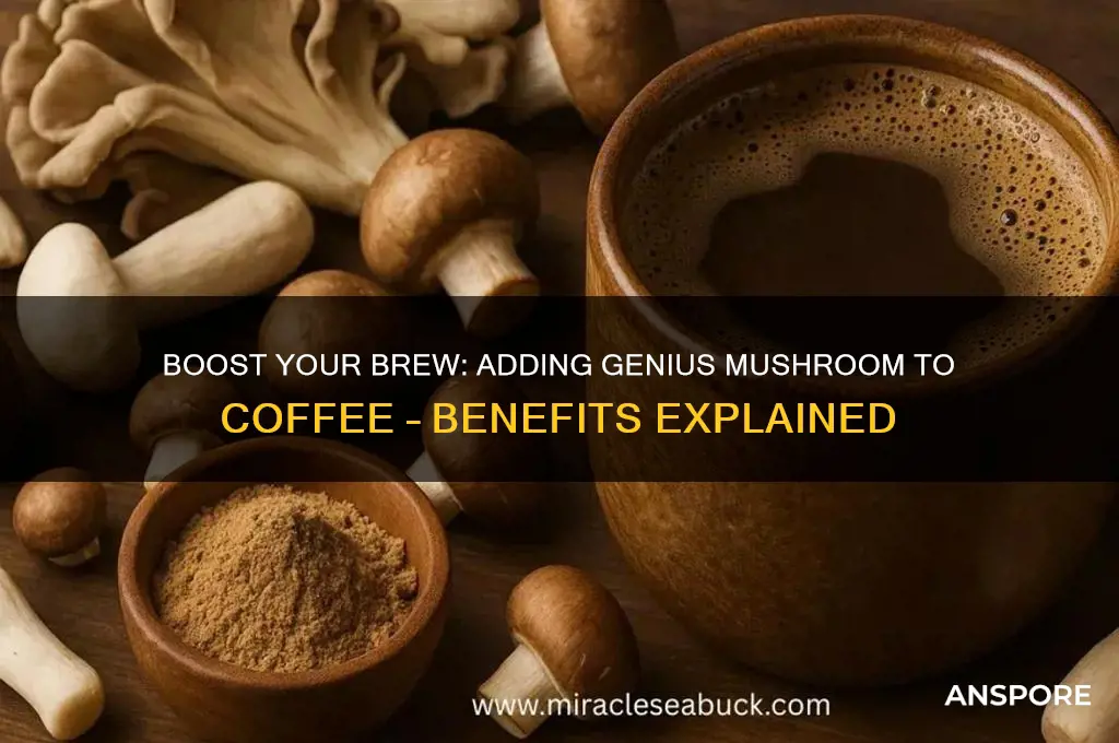 can you put genius mushroom in coffee