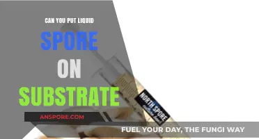 Liquid Spore Application: Can You Directly Inoculate Substrate for Mycology?