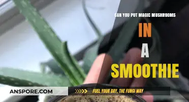 Blending Magic: Can You Safely Add Mushrooms to Smoothies?