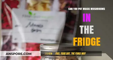 Storing Magic Mushrooms: Fridge or Not? A Complete Guide