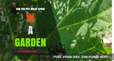 Using Milky Spore in Gardens: Benefits, Application, and Safety Tips