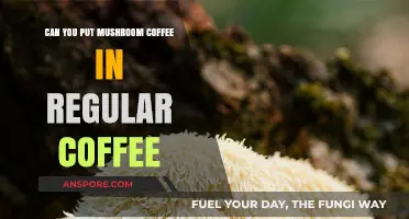 Mushroom Coffee in Regular Coffee: A Flavorful Blend or Bold Mistake?