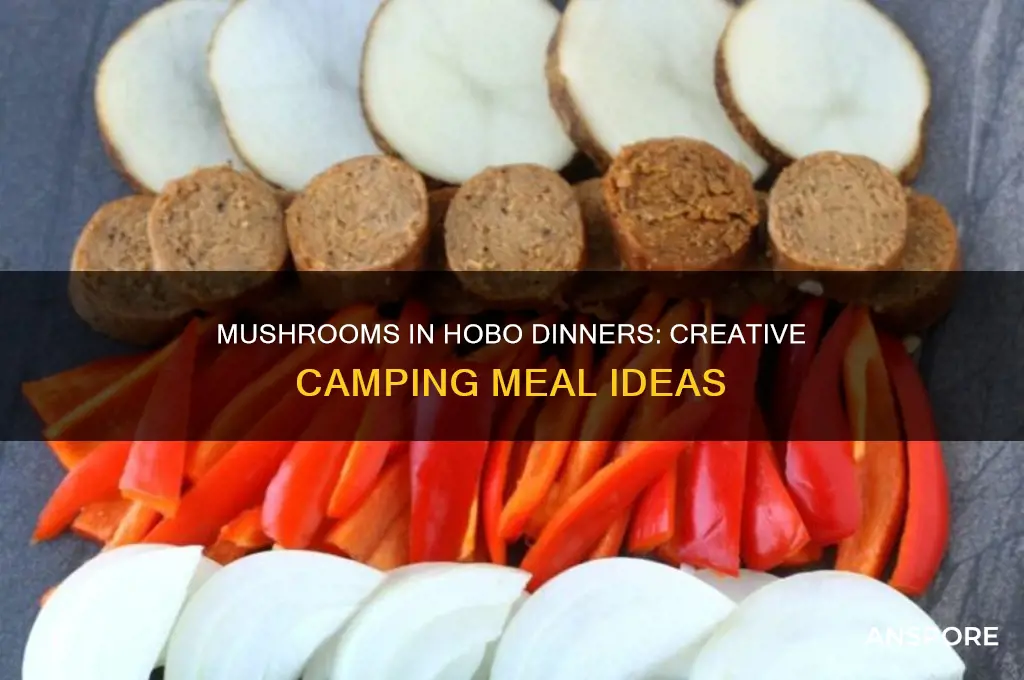 can you put mushroom in a hobo dinner