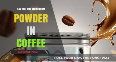 Mushroom Powder in Coffee: Benefits, Taste, and How to Use It