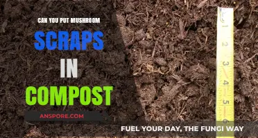 Composting Mushroom Scraps: A Guide to Eco-Friendly Kitchen Waste Recycling