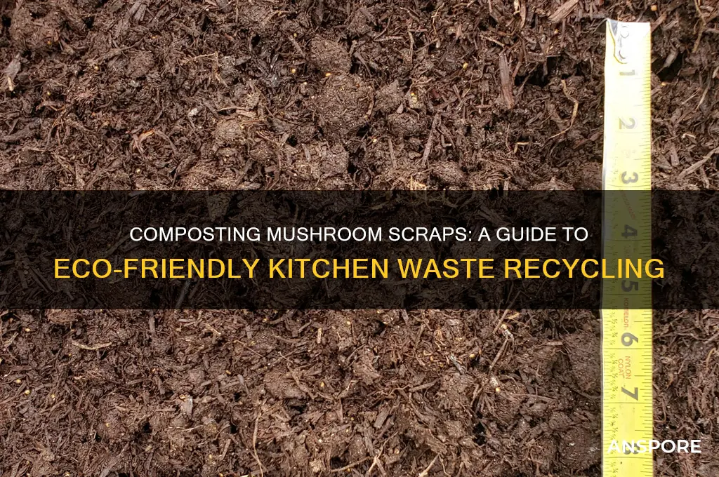 can you put mushroom scraps in compost