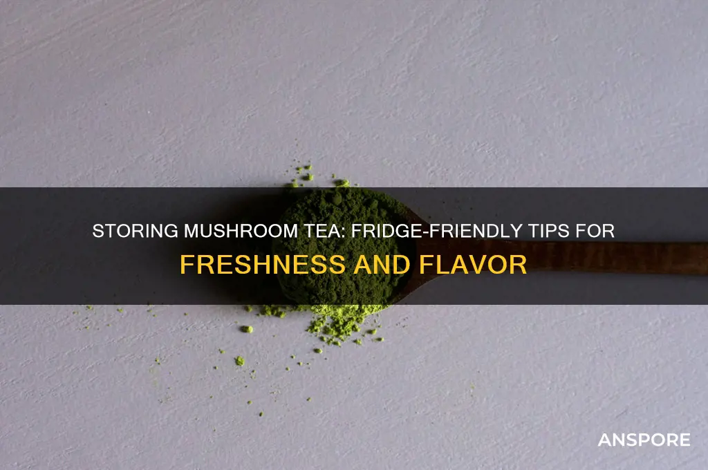 can you put mushroom tea in the fridge