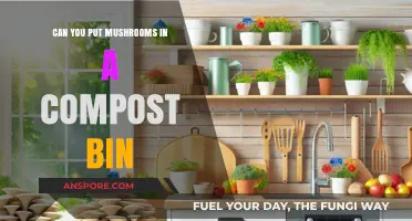 Composting Mushrooms: A Guide to Safely Adding Fungi to Your Bin