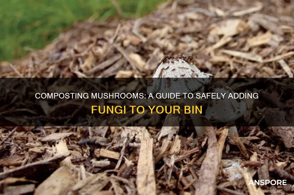 can you put mushrooms in a compost bin