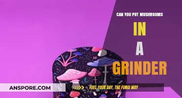 Grinding Mushrooms: Tips, Benefits, and Best Practices for Smooth Results