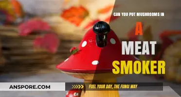 Smoking Mushrooms: A Tasty Twist for Your Meat Smoker
