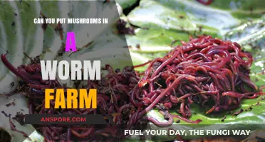 Mushrooms in Worm Farms: Benefits, Risks, and Best Practices Explained