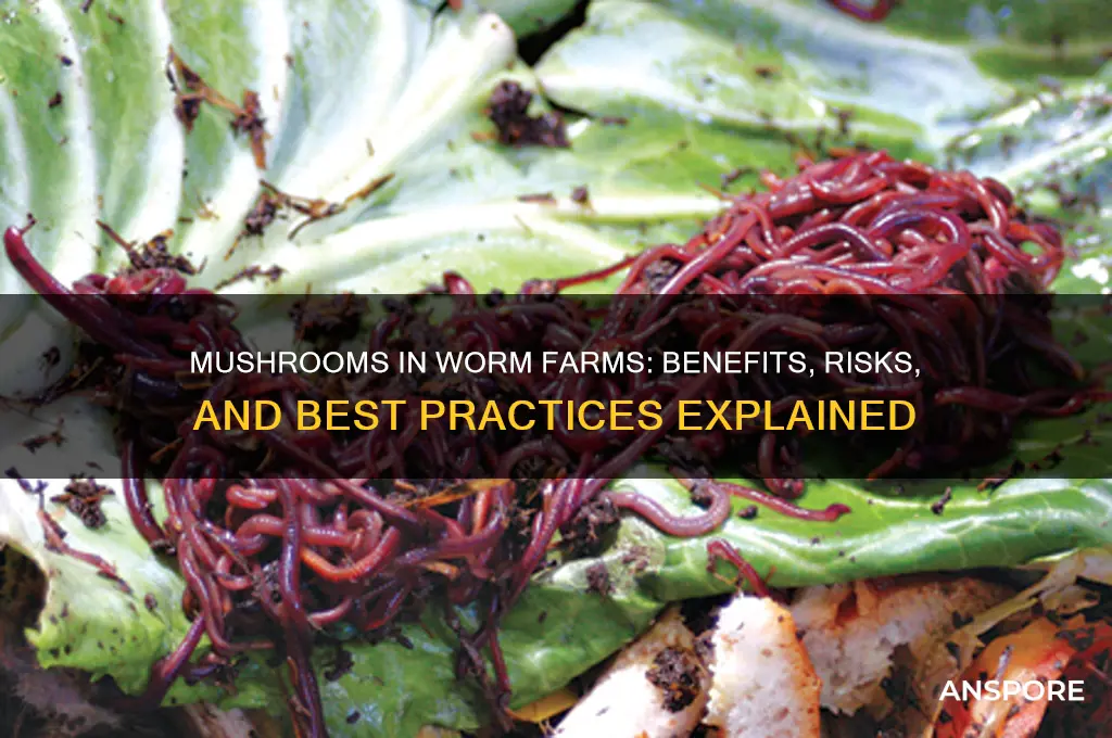 can you put mushrooms in a worm farm