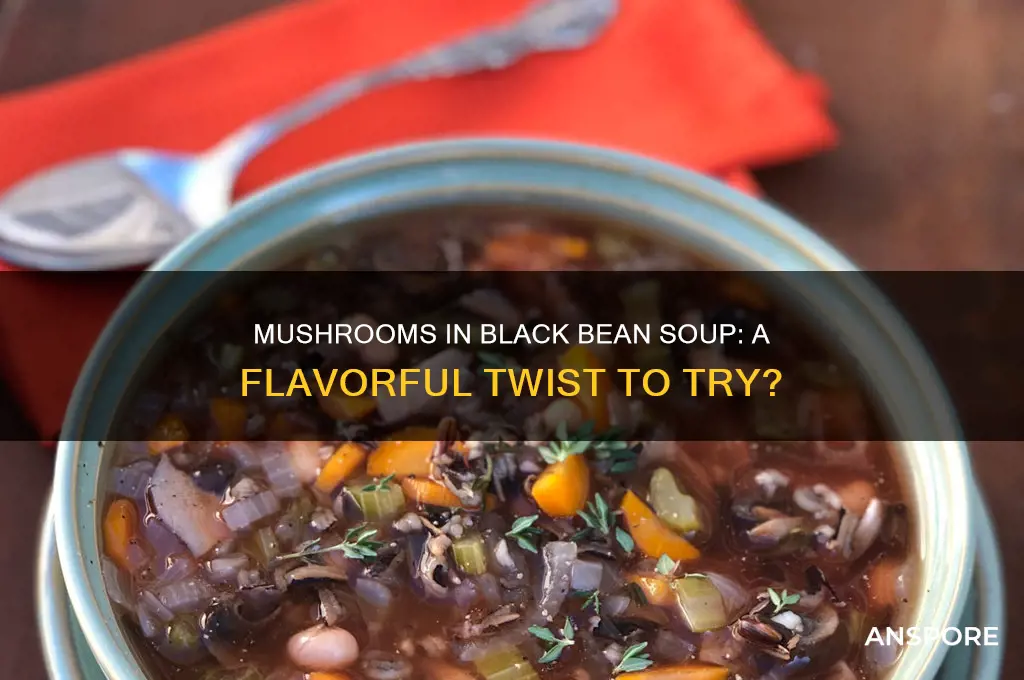 can you put mushrooms in black beans soup