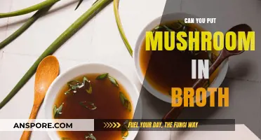 Mushrooms in Broth: Enhancing Flavor and Nutrition in Your Soup