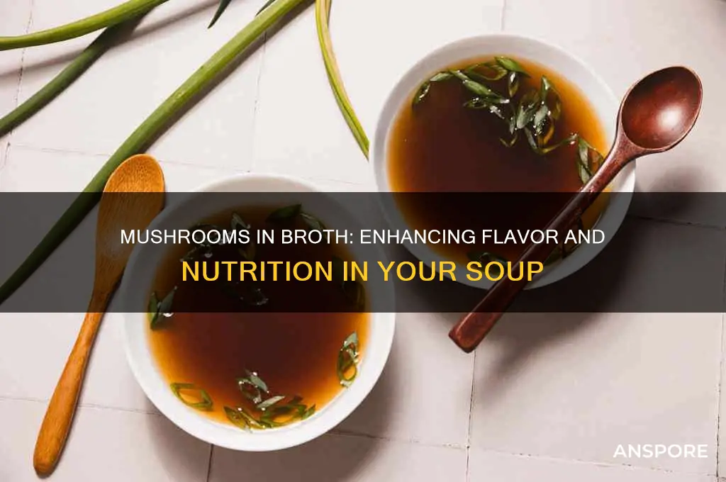 can you put mushrooms in broth