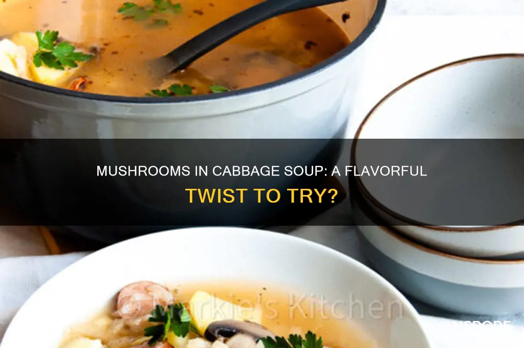 can you put mushrooms in cabbage soup