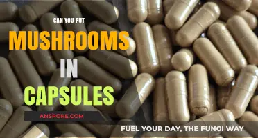 Can You Put Mushrooms in Capsules? A Comprehensive Guide