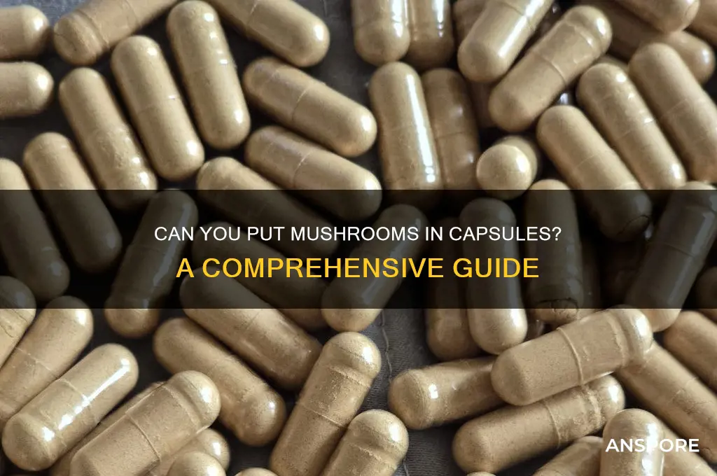 can you put mushrooms in capsules