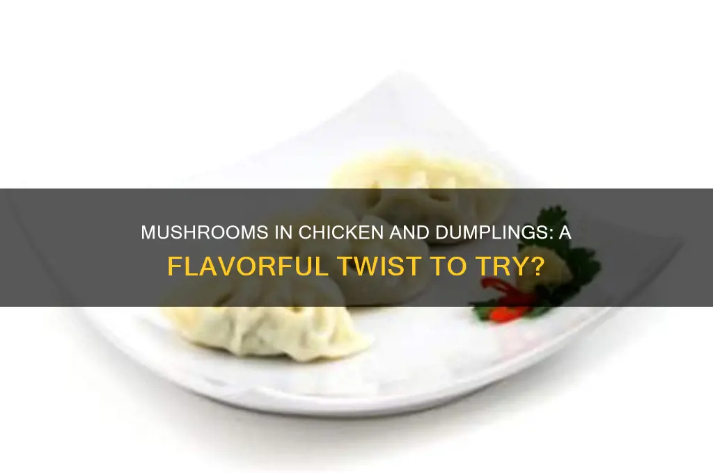 can you put mushrooms in chicken and dumplings