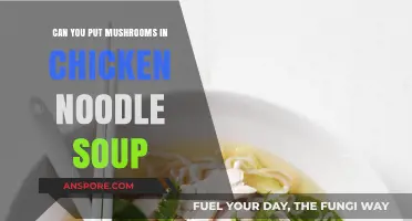 Mushrooms in Chicken Noodle Soup: A Flavorful Twist to Try?