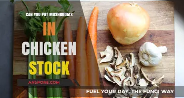 Mushrooms in Chicken Stock: Flavor Boost or Culinary Mistake?