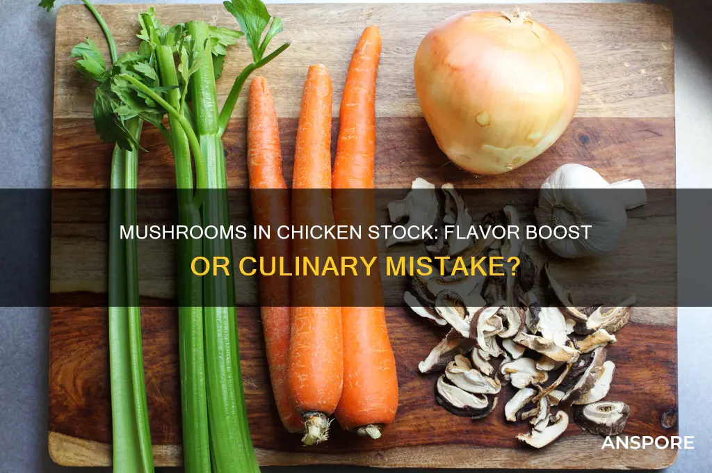 can you put mushrooms in chicken stock