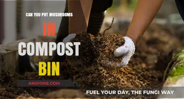Composting Mushrooms: A Guide to Adding Fungi to Your Bin