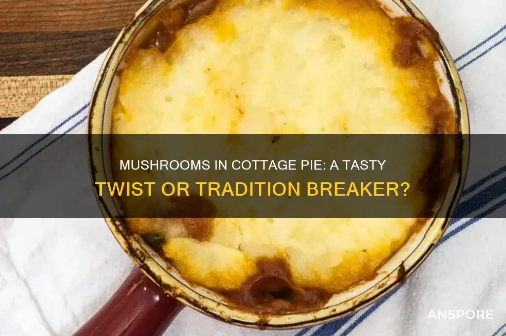 can you put mushrooms in cottage pie