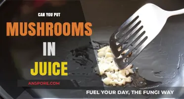Mushrooms in Juice: A Tasty Trend or Strange Idea?