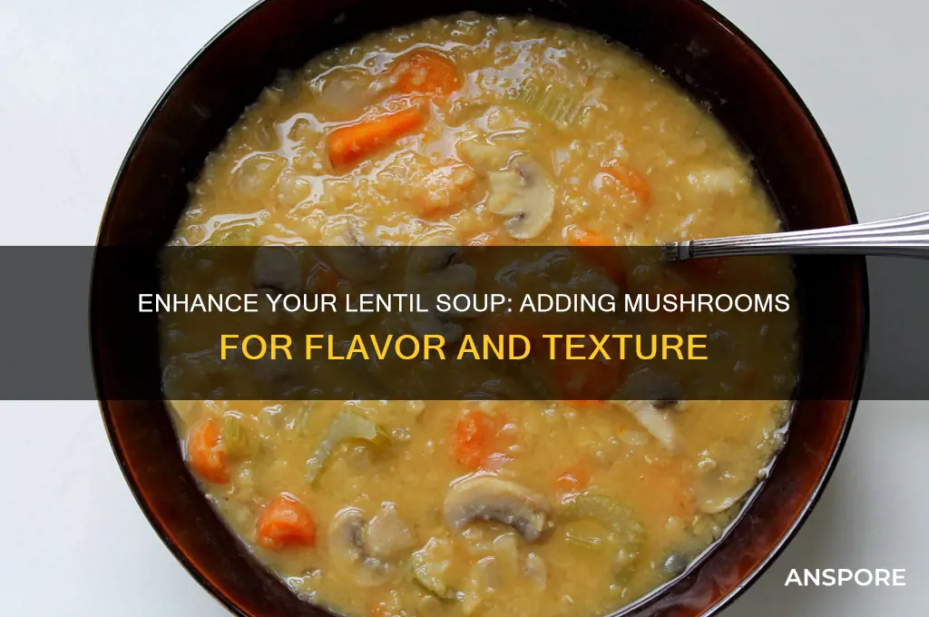 can you put mushrooms in lentil soup