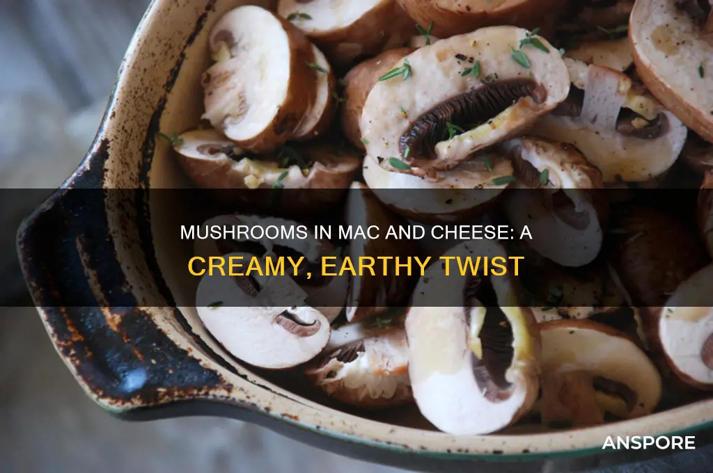 can you put mushrooms in mac and cheese