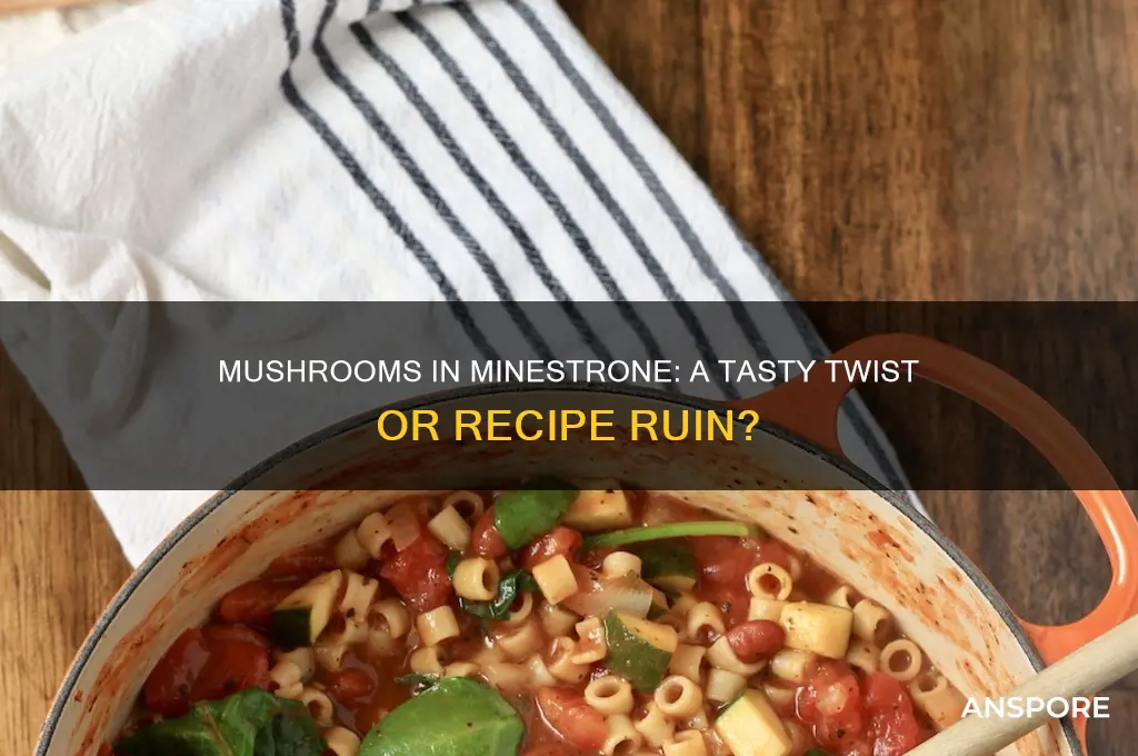 can you put mushrooms in minestrone soup