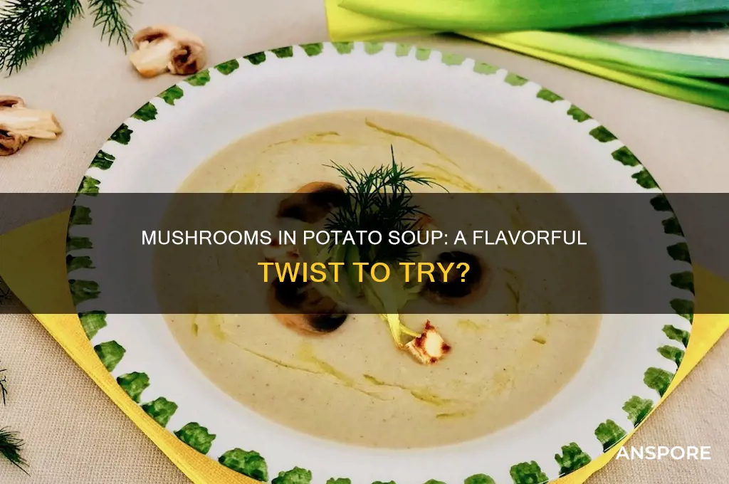 can you put mushrooms in potato soup