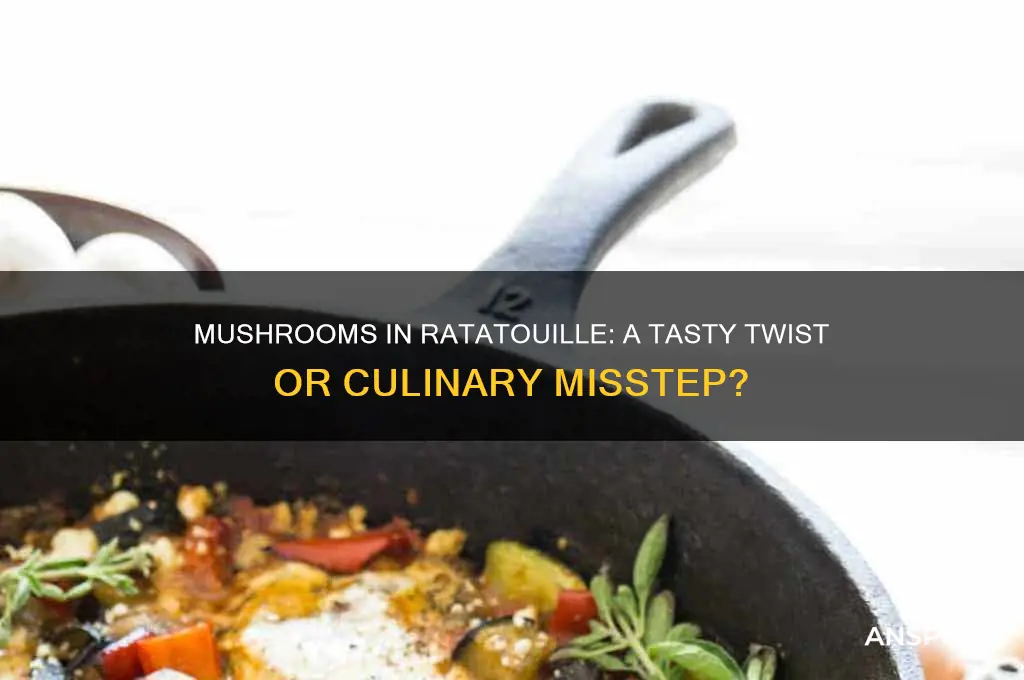 can you put mushrooms in ratatouille