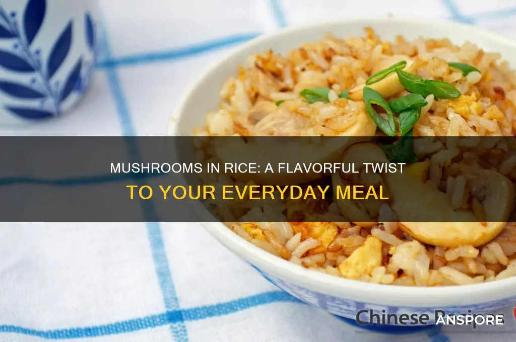 can you put mushrooms in rice