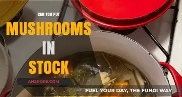 Mushrooms in Stock: Enhancing Flavor and Nutrition in Your Broth