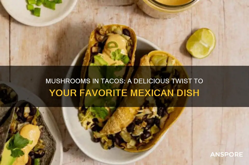 can you put mushrooms in tacos